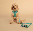 Load image into Gallery viewer, Adjustable Dog Harness┃Little Jungle