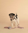 Load image into Gallery viewer, Dog Lead┃Sunday Stripes