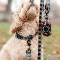 Load image into Gallery viewer, Dog Lead┃Jolly Teddy