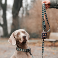 Load image into Gallery viewer, Dog Lead┃Jolly Teddy