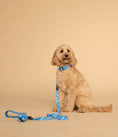 Load image into Gallery viewer, Dog Collar┃Blue Tropicana

